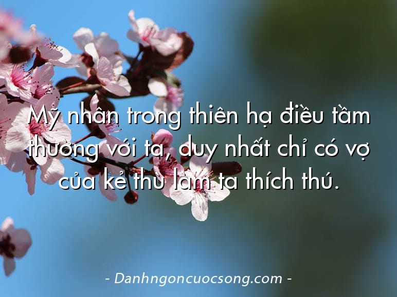 Mỹ nhân trong thiên hạ điều tầm thường với ta, duy nhất chỉ có vợ của kẻ thù làm ta thích thú.