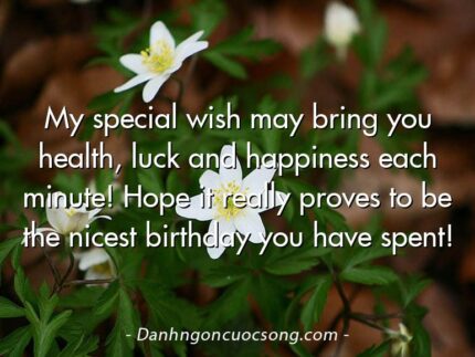 My special wish may bring you health, luck and happiness each minute! Hope it really proves to be the nicest birthday you have spent!