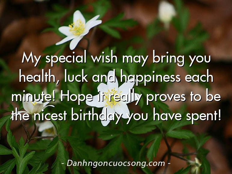 My special wish may bring you health, luck and happiness each minute! Hope it really proves to be the nicest birthday you have spent!