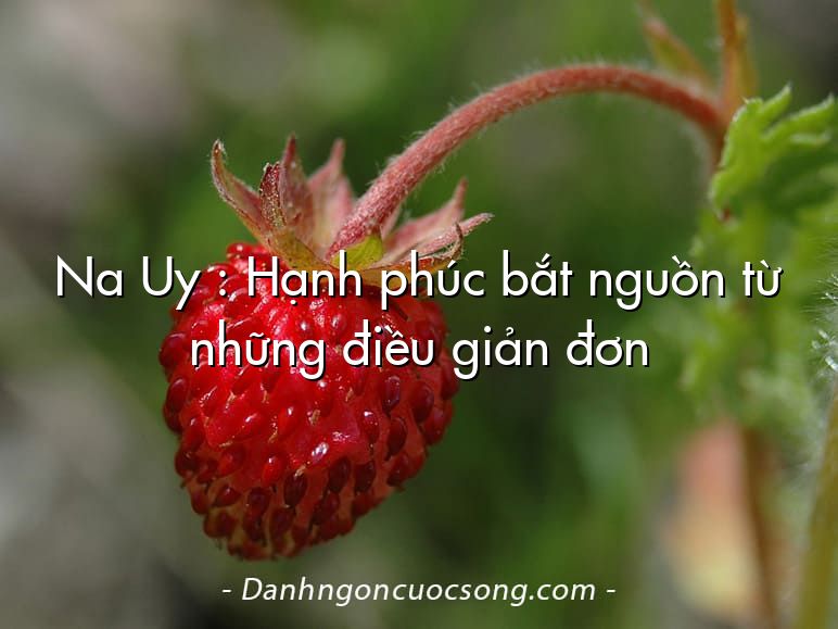 Na Uy : Hạnh phúc bắt nguồn từ những điều giản đơn