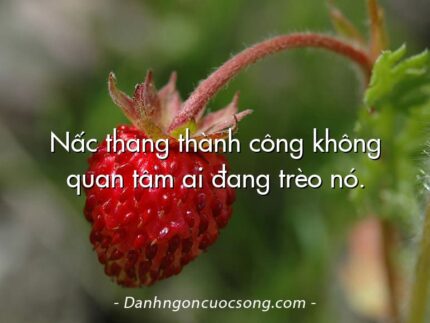 Nấc thang thành công không quan tâm ai đang trèo nó.