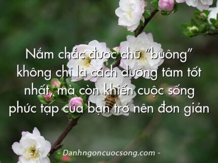 Nắm chắc được chữ “buông” không chỉ là cách dưỡng tâm tốt nhất, mà còn khiến cuộc sống phức tạp của bạn trở nên đơn giản