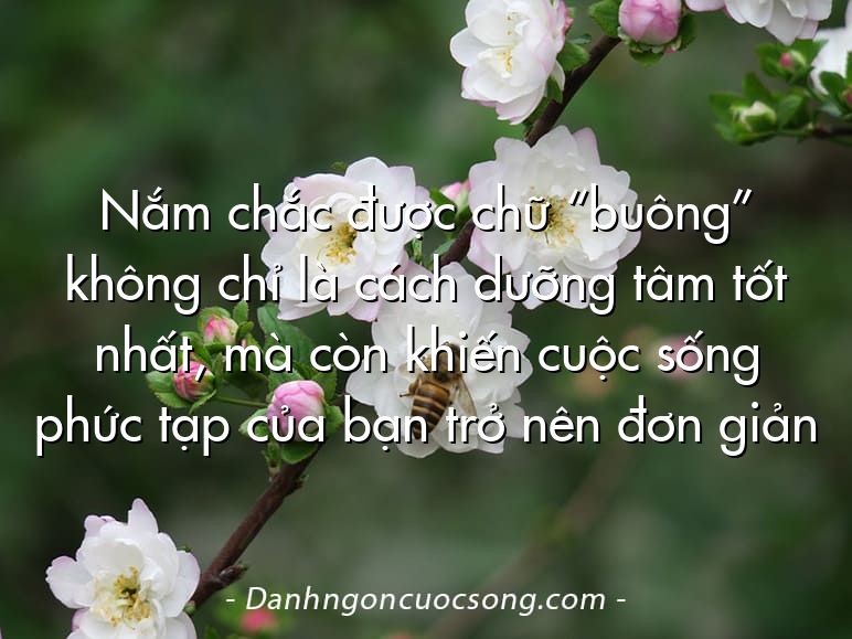 Nắm chắc được chữ “buông” không chỉ là cách dưỡng tâm tốt nhất, mà còn khiến cuộc sống phức tạp của bạn trở nên đơn giản