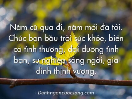 Năm cũ qua đi, năm mới đã tới. Chúc bạn bầu trời sức khỏe, biển cả tình thương, đại dương tình bạn, sự nghiệp sáng ngời, gia đình thịnh vượng.