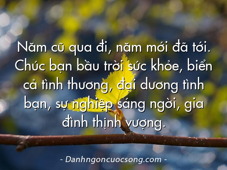 Năm cũ qua đi, năm mới đã tới. Chúc bạn bầu trời sức khỏe, biển cả tình thương, đại dương tình bạn, sự nghiệp sáng ngời, gia đình thịnh vượng.