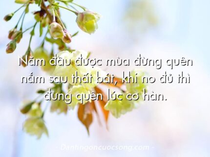 Năm đầu được mùa đừng quên nắm sau thất bát, khi no đủ thì đừng quên lúc cơ hàn.