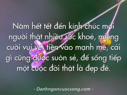 Năm hết tết đến kính chúc mọi người thật nhiều sức khoẻ, miệng cười vui vẻ, tiền vào mạnh mẽ, cái gì cũng được suôn sẻ, để sống tiếp một cuộc đời thật là đẹp đẽ.