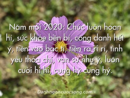 Năm mới 2020: Chúc luôn hoan hỉ, sức khỏe bền bỉ, công danh hết ý, tiền vào bạc tỉ, tiền ra ri rỉ, tình yêu thỏa chí, vạn sự như ý, luôn cười hi hi, cung hỷ cung hỷ.