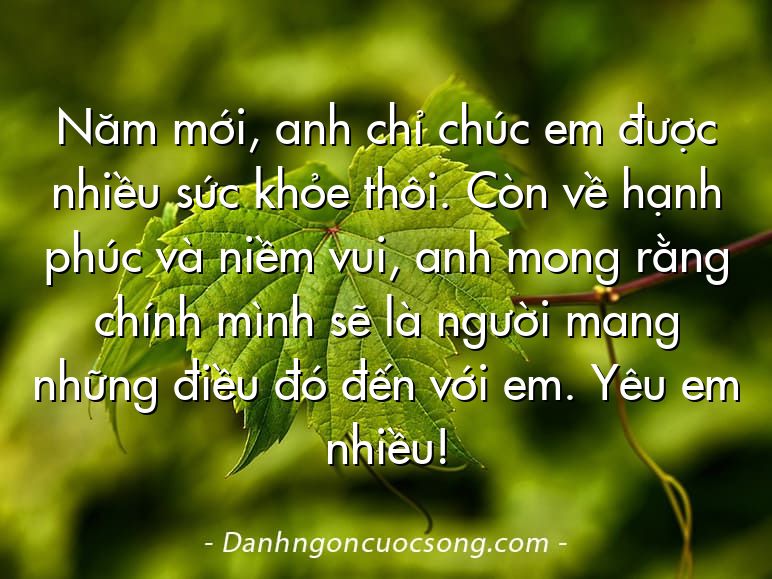 Năm mới, anh chỉ chúc em được nhiều sức khỏe thôi. Còn về hạnh phúc và niềm vui, anh mong rằng chính mình sẽ là người mang những điều đó đến với em. Yêu em nhiều!