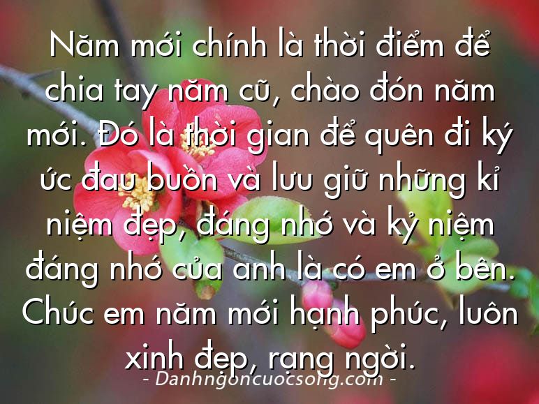 Năm mới chính là thời điểm để chia tay năm cũ, chào đón năm mới. Đó là thời gian để quên đi ký ức đau buồn và lưu giữ những kỉ niệm đẹp, đáng nhớ và kỷ niệm đáng nhớ của anh là có em ở bên. Chúc em năm mới hạnh phúc, luôn xinh đẹp, rạng ngời.