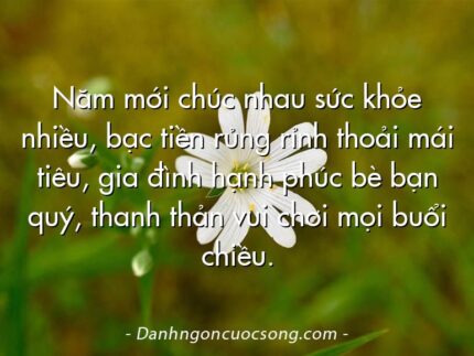 Năm mới chúc nhau sức khỏe nhiều, bạc tiền rủng rỉnh thoải mái tiêu, gia đình hạnh phúc bè bạn quý, thanh thản vui chơi mọi buổi chiều.