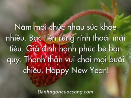 Năm mới chúc nhau sức khỏe nhiều. Bạc tiền rủng rỉnh thoải mái tiêu. Gia đình hạnh phúc bè bạn quý. Thanh thản vui chơi mọi buổi chiều. Happy New Year!