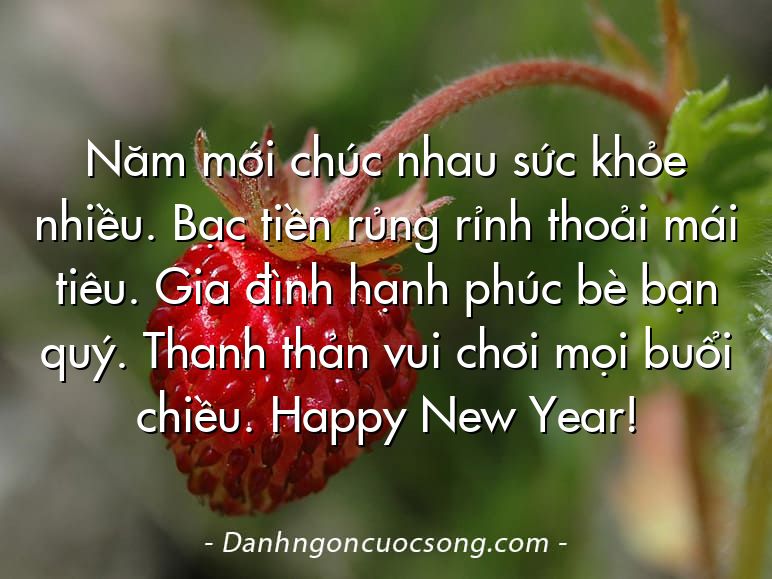 Năm mới chúc nhau sức khỏe nhiều. Bạc tiền rủng rỉnh thoải mái tiêu. Gia đình hạnh phúc bè bạn quý. Thanh thản vui chơi mọi buổi chiều. Happy New Year!