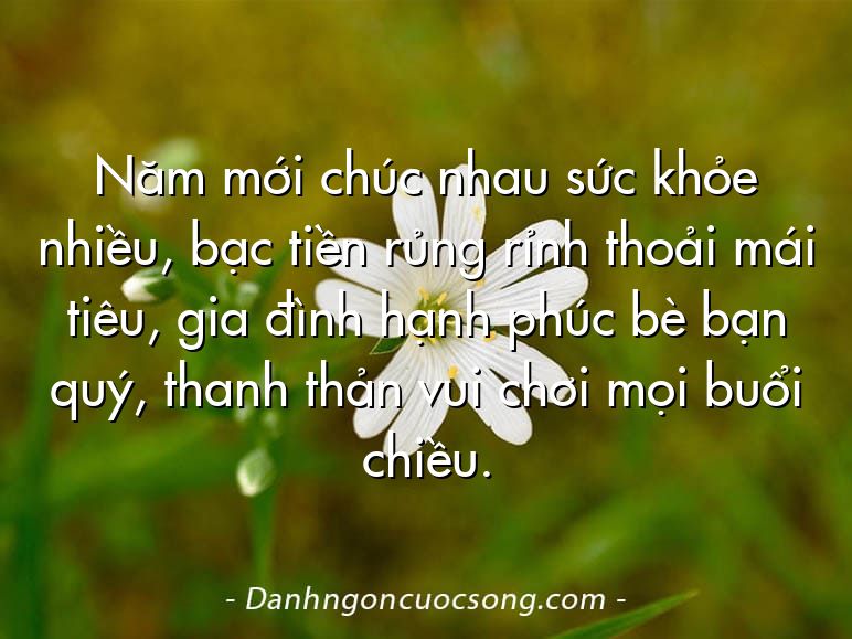 Năm mới chúc nhau sức khỏe nhiều, bạc tiền rủng rỉnh thoải mái tiêu, gia đình hạnh phúc bè bạn quý, thanh thản vui chơi mọi buổi chiều.