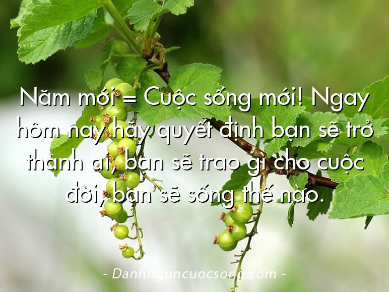 Năm mới = Cuộc sống mới! Ngay hôm nay hãy quyết định bạn sẽ trở thành ai, bạn sẽ trao gì cho cuộc đời, bạn sẽ sống thế nào.