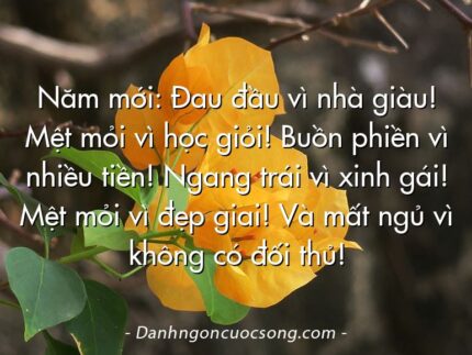 Năm mới: Đau đầu vì nhà giàu! Mệt mỏi vì học giỏi! Buồn phiền vì nhiều tiền! Ngang trái vì xinh gái! Mệt mỏi vì đẹp giai! Và mất ngủ vì không có đối thủ!