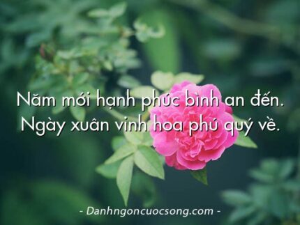Năm mới hạnh phúc bình an đến. Ngày xuân vinh hoa phú quý về.
