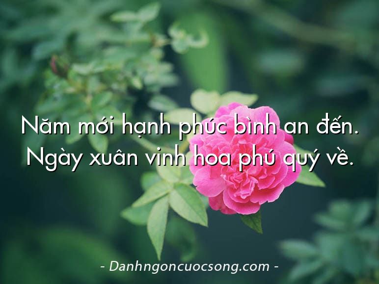 Năm mới hạnh phúc bình an đến. Ngày xuân vinh hoa phú quý về.