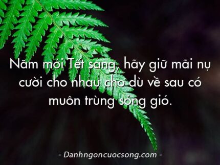 Năm mới Tết sang, hãy giữ mãi nụ cười cho nhau cho dù về sau có muôn trùng sóng gió.