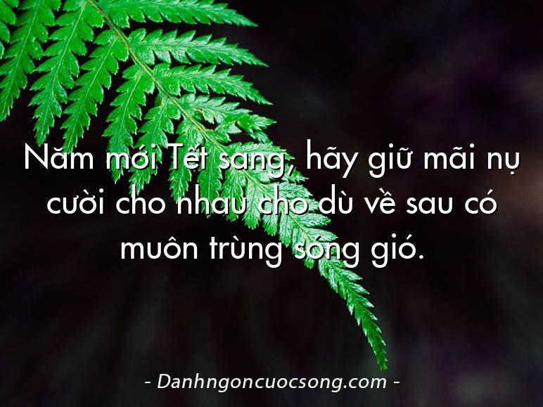 Năm mới Tết sang, hãy giữ mãi nụ cười cho nhau cho dù về sau có muôn trùng sóng gió.