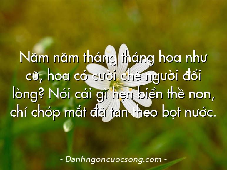 Năm năm tháng tháng hoa như cũ, hoa có cười chê người đổi lòng? Nói cái gì hẹn biển thề non, chỉ chớp mắt đã tan theo bọt nước.