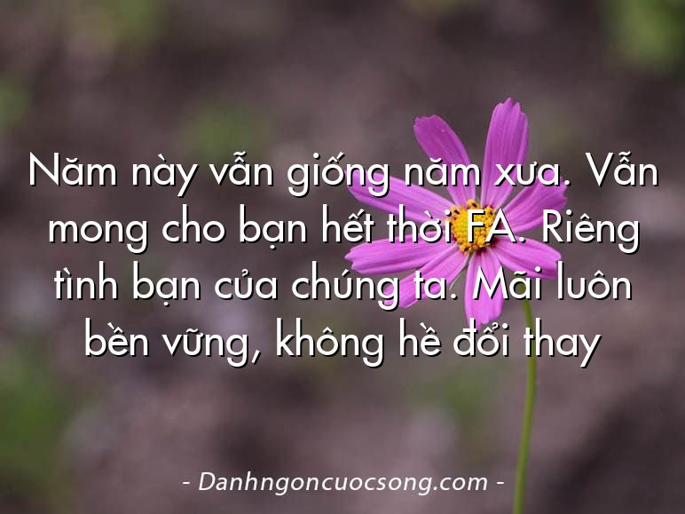 Năm này vẫn giống năm xưa. Vẫn mong cho bạn hết thời FA. Riêng tình bạn của chúng ta. Mãi luôn bền vững, không hề đổi thay