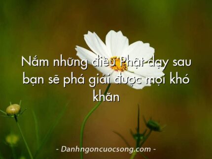 Nắm những điều Phật dạy sau bạn sẽ phá giải được mọi khó khăn