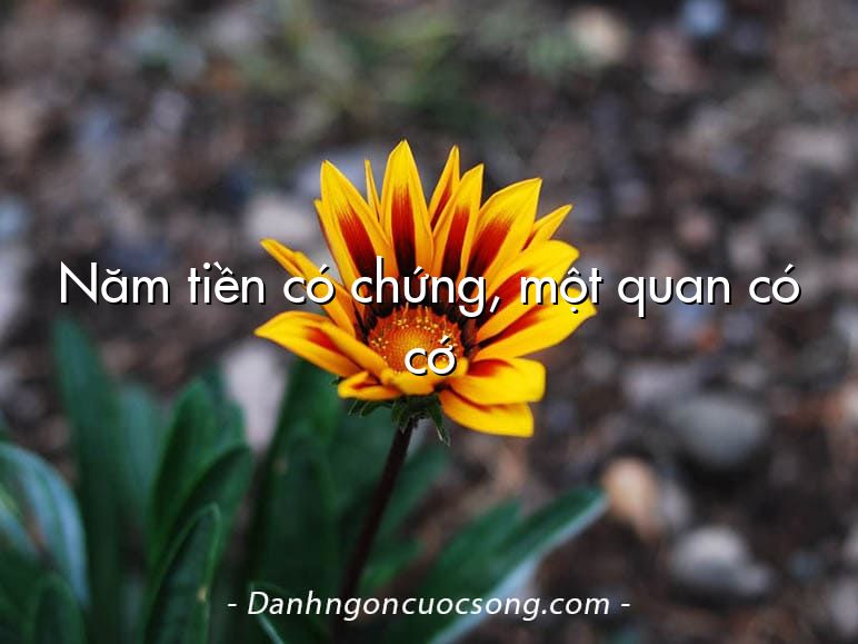 Năm tiền có chứng, một quan có cớ