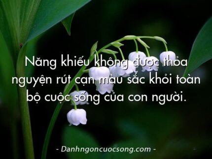Năng khiếu không được thỏa nguyện rút cạn màu sắc khỏi toàn bộ cuộc sống của con người.
