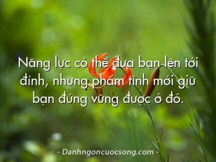 Năng lực có thể đưa bạn lên tới đỉnh, nhưng phẩm tính mới giữ bạn đứng vững được ở đó.