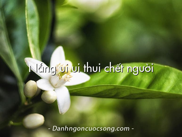 Nắng ui ui thui chết người