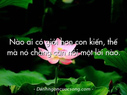 Nào ai có giỏi hơn con kiến, thế mà nó chẳng cần nói một lời nào.
