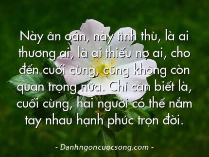 Này ân oán, này tình thù, là ai thương ai, là ai thiếu nợ ai, cho đến cuối cùng, cũng không còn quan trọng nữa. Chỉ cần biết là, cuối cùng, hai người có thể nắm tay nhau hạnh phúc trọn đời.