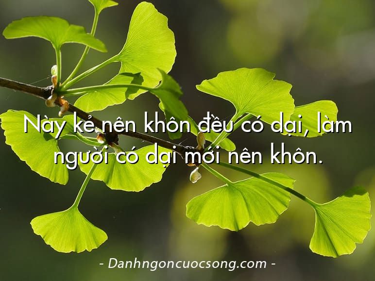 Này kẻ nên khôn đều có dại, làm người có dại mới nên khôn.