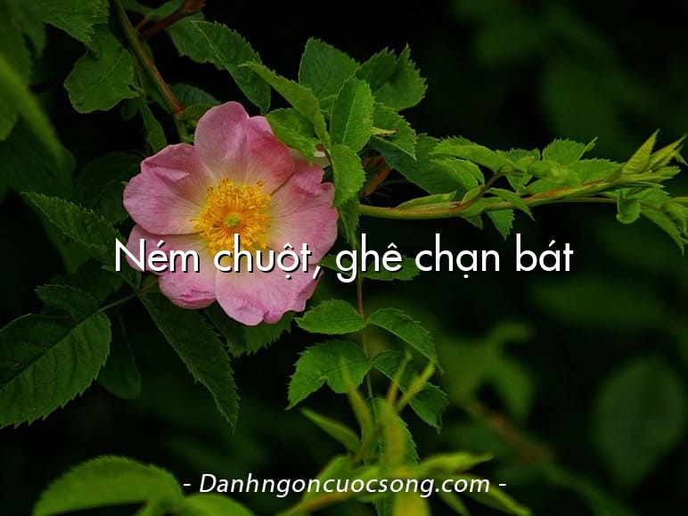 Ném chuột, ghê chạn bát