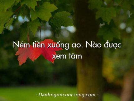 Ném tiền xuống ao. Nào được xem tăm