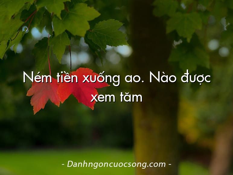 Ném tiền xuống ao. Nào được xem tăm