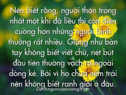 Nên biết rằng, người thận trọng nhất một khi đã liều thì còn điên cuồng hơn những người bình thường rất nhiều. Giống như bàn tay không biết viết chữ, nét bút đầu tiên thường vạch ra ngoài dòng kẻ. Bởi vì họ chưa nếm trải nên không biết ranh giới ở đâu.