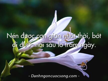 Nén được cơn giận nhất thời, bớt đi được nỗi sầu lo trăm ngày.