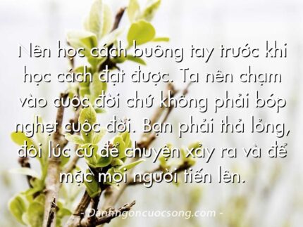 Nên học cách buông tay trước khi học cách đạt được. Ta nên chạm vào cuộc đời chứ không phải bóp nghẹt cuộc đời. Bạn phải thả lỏng, đôi lúc cứ để chuyện xảy ra và để mặc mọi người tiến lên.