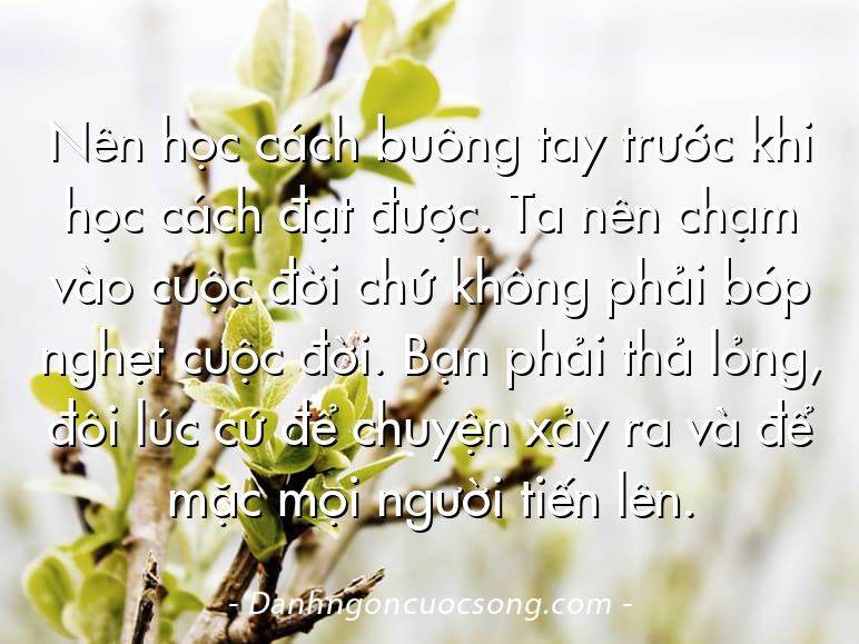 Nên học cách buông tay trước khi học cách đạt được. Ta nên chạm vào cuộc đời chứ không phải bóp nghẹt cuộc đời. Bạn phải thả lỏng, đôi lúc cứ để chuyện xảy ra và để mặc mọi người tiến lên.