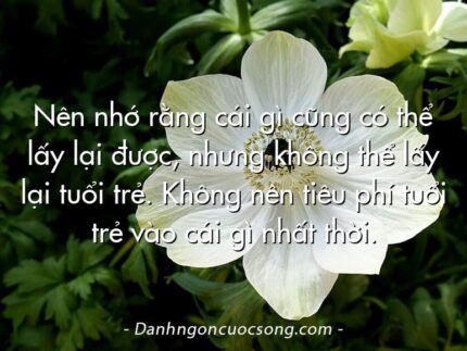 Nên nhớ rằng cái gì cũng có thể lấy lại được, nhưng không thể lấy lại tuổi trẻ. Không nên tiêu phí tuổi trẻ vào cái gì nhất thời.