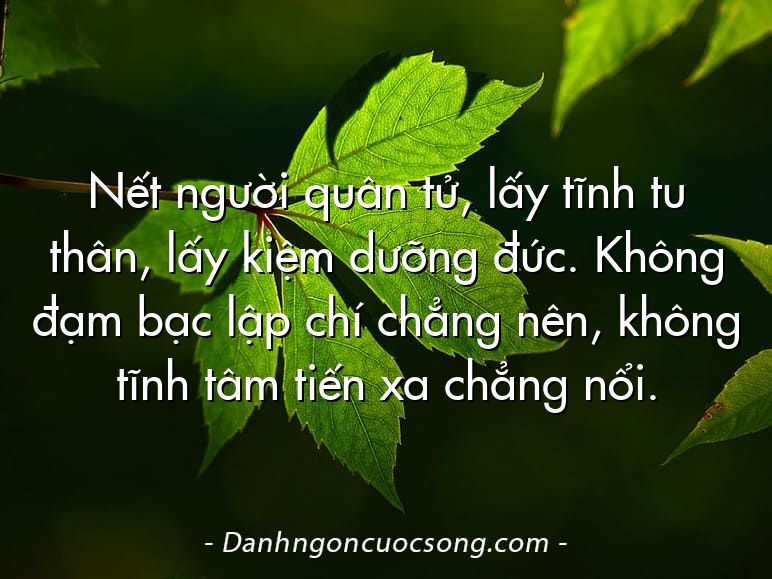 Nết người quân tử, lấy tĩnh tu thân, lấy kiệm dưỡng đức. Không đạm bạc lập chí chẳng nên, không tĩnh tâm tiến xa chẳng nổi.