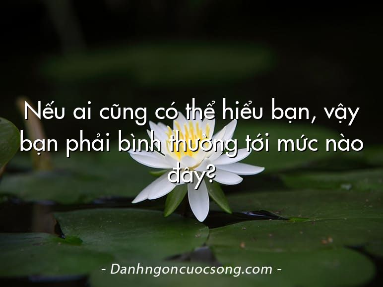Nếu ai cũng có thể hiểu bạn, vậy bạn phải bình thường tới mức nào đây?