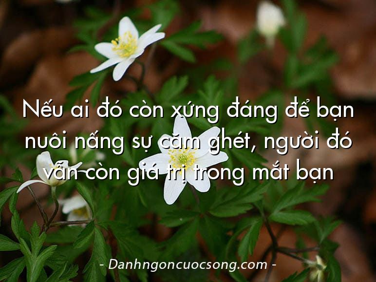 Nếu ai đó còn xứng đáng để bạn nuôi nấng sự căm ghét, người đó vẫn còn giá trị trong mắt bạn