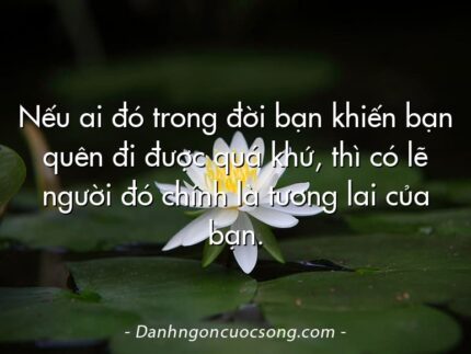 Nếu ai đó trong đời bạn khiến bạn quên đi được quá khứ, thì có lẽ người đó chính là tương lai của bạn.