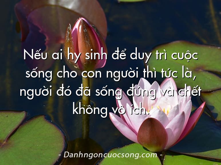 Nếu ai hy sinh để duy trì cuộc sống cho con người thì tức là, người đó đã sống đúng và chết không vô ích.  
