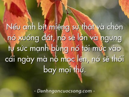 Nếu anh bịt miệng sự thật và chôn nó xuống đất, nó sẽ lớn và ngưng tụ sức mạnh bùng nổ tới mức vào cái ngày mà nó mọc lên, nó sẽ thổi bay mọi thứ.