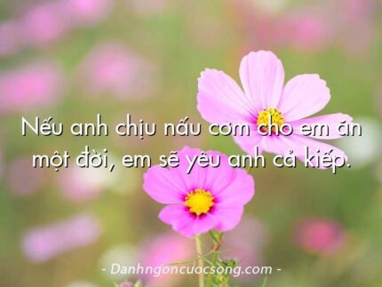Nếu anh chịu nấu cơm cho em ăn một đời, em sẽ yêu anh cả kiếp.