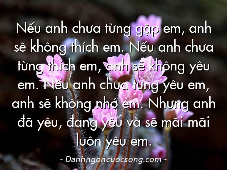 Nếu anh chưa từng gặp em, anh sẽ không thích em. Nếu anh chưa từng thích em, anh sẽ không yêu em. Nếu anh chưa từng yêu em, anh sẽ không nhớ em. Nhưng anh đã yêu, đang yêu và sẽ mãi mãi luôn yêu em.